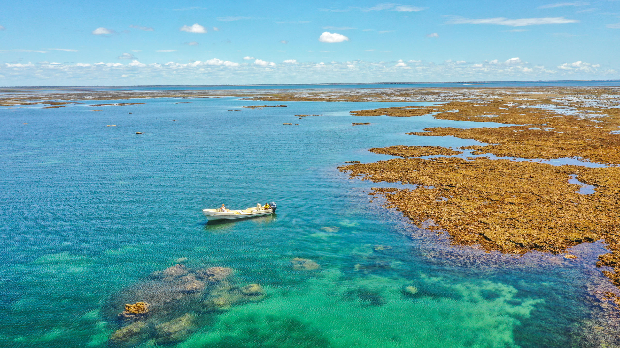 Manda Bay thumbnail 7